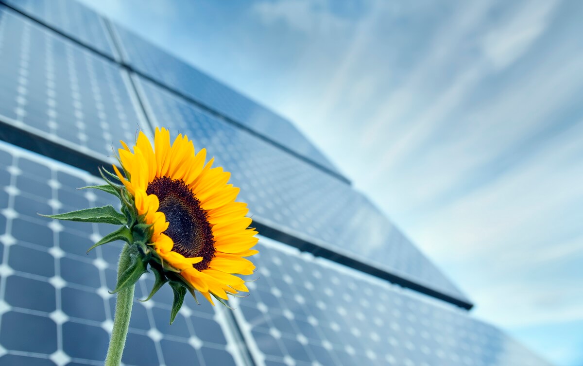 Reasons Why Solar is Eco-Friendly