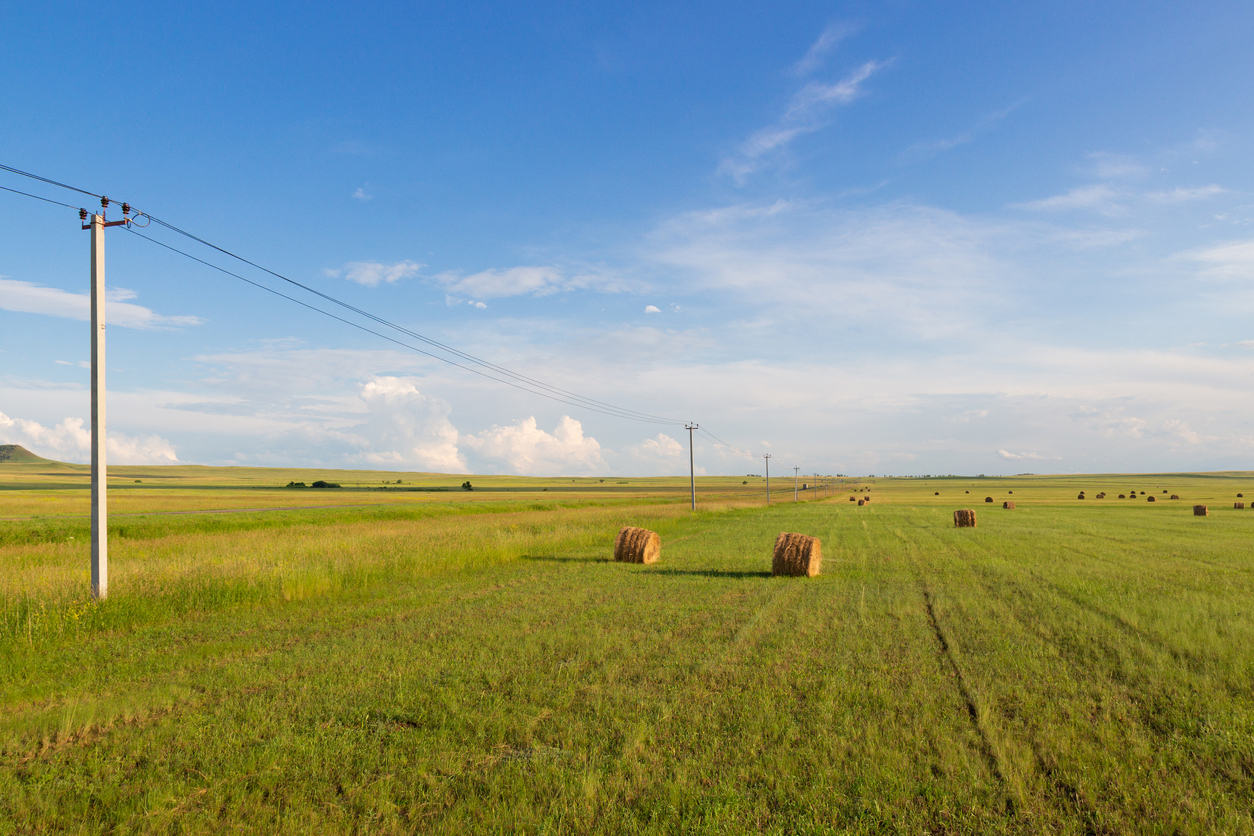 Summer landscape with straw bales on farmland.